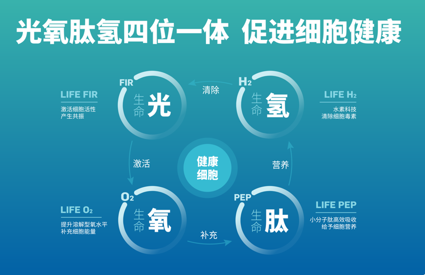 圖片1.png